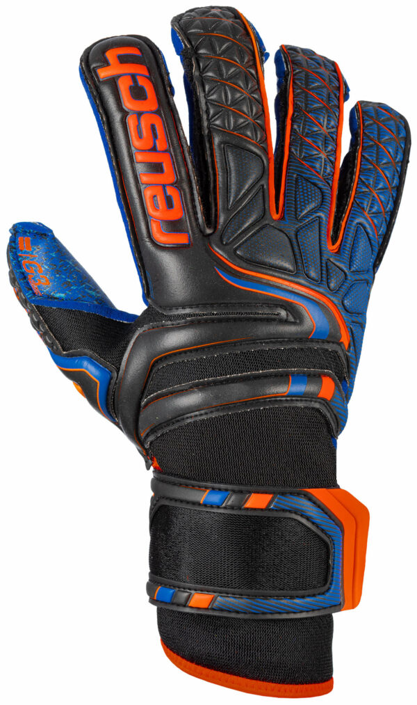 reusch_attrakt_g3_fusion_evolution