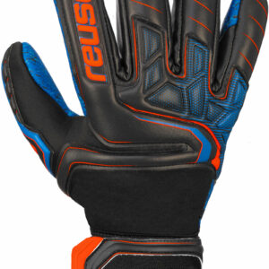 reusch_attrakt_g3_fusion_evolution_nc_guardian