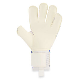gladiator_sports_brmb_aqua_binnenkant