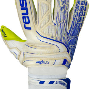 reusch_attrakt_s1_evolution