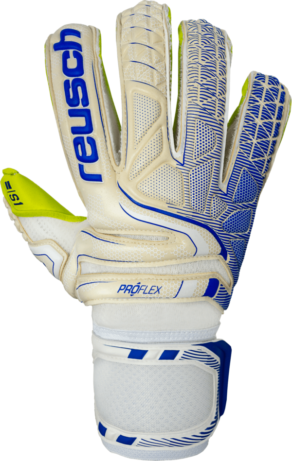 reusch_attrakt_s1_evolution