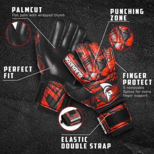 Gladiator Sports Dazzle 1 - 1