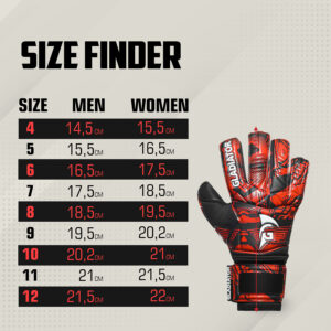 Gladiator Sports Dazzle 1 - 2