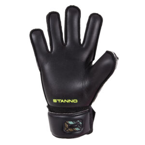 stanno_wild_ltd_binnenkant