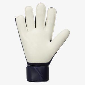 nike_gk_match_light_blue_binnenkant