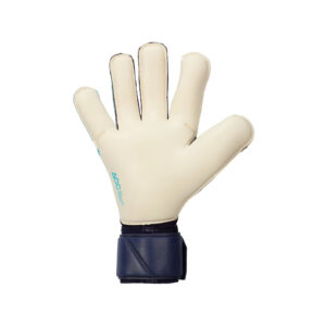 nike_gk_vapor_grip3_light_blue_binnenkant