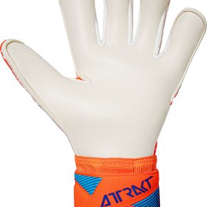 Name: Attrakt Duo Evolution | Palm: Reusch Grip Duo | Cut: Evolution Cut | Wrist Closure: Elastic Cuff with Pull Loop ; Full Strap with Rubber Ender | Backhand: Latex | Features: Duo Technology, AirVentSystem, Preshaped Construction, 3D Thumb Crotch, Thumb Wrap, Side Wrap