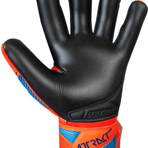 Name: Attrakt Infinity Evolution NC | Palm: Reusch Grip Infinity | Cut: Evolution Negative Cut | Wrist Closure: Elastic Cuff ; Full Strap with Textile Window | Backhand: PVC | Features: Duraguard, AirVentSystem, Preshaped Construction, 3D Thumb Crotch, Thumb Wrap