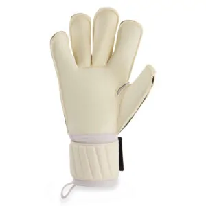 gladiator_sports_gwa_4_binnenkant