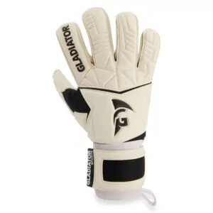 gladiator_sports_gwa_4_buitenkant