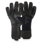 Gladiator Sports Black King