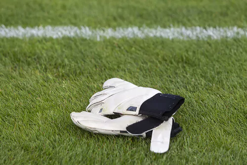 voordelen van fingersave