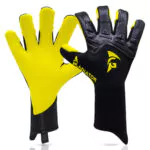Gladiator Sports Ocirne