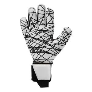 101132601_palm
