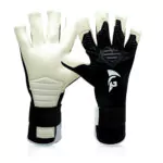 Gladiator Sports Bebo