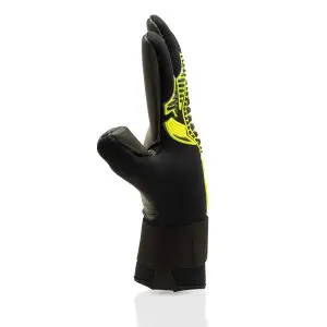 gladiator_sports_brambo_wintersspecial_rechts