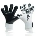 Gladiator Sports Koja Winterspecial