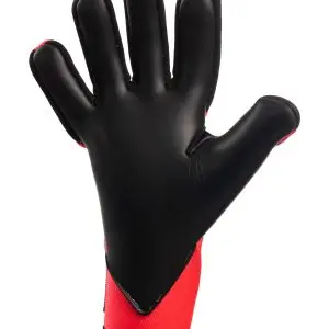 Doubters-NGT-Palm-White-BG