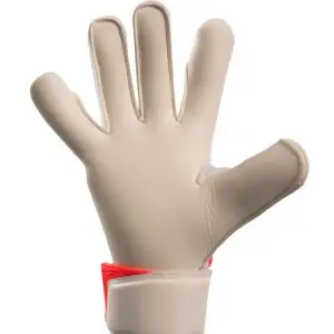 Doubters-VTX-Palm-White-BG