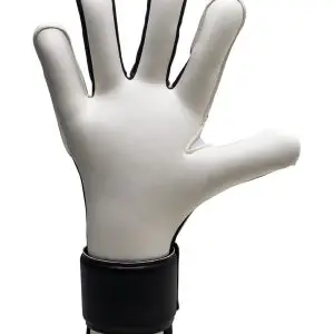 gladiator_sports_advanced_pro_binnenkant