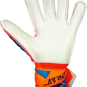 Name: Attrakt Advance Junior | Palm: Reusch Grip Advance | Cut: Expanse Cut  | Wrist Closure: Elastic Cuff ; Full strap | Backhand: PVC | Features: Thumbflex